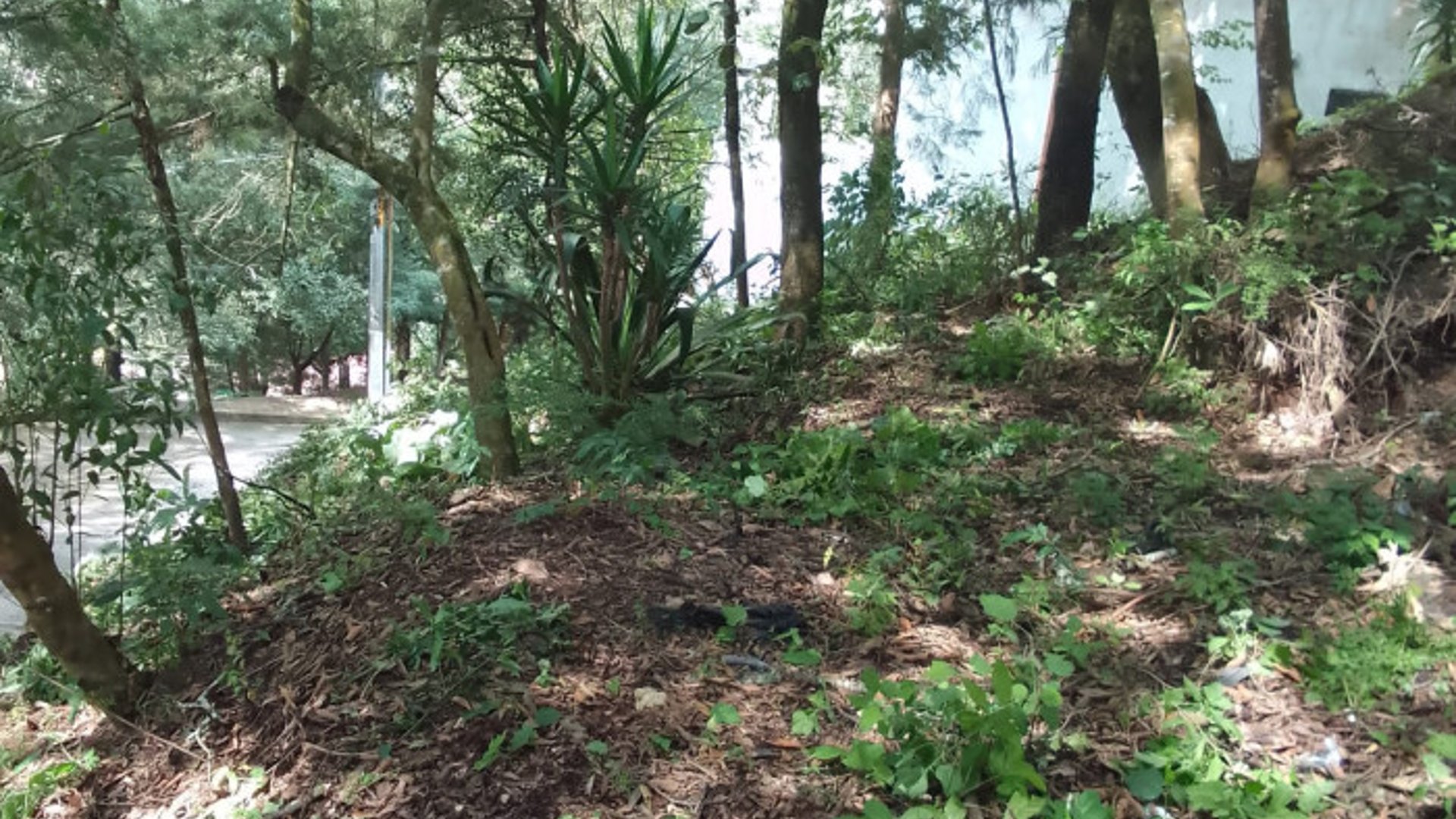 Terreno en Venta en Santa Lucia Milpas Altas - Miniatura 2