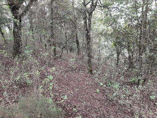 Terreno en venta, en Carretera al salvador - 3