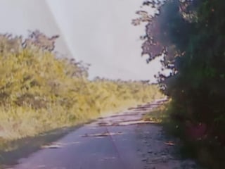 FINCA EN VENTA – SAN ANDRÉS, PETÉN - 5
