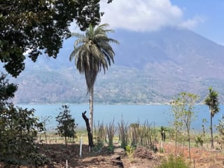 VENDO TERRENO A ORILLA DEL LAGO, SANTIAGO ATITLÁN - 2