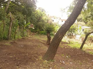 Terreno en Renta en Santa Catarina Pinula - 4