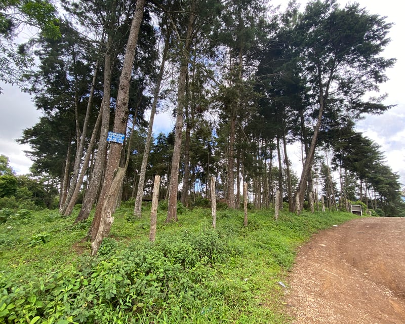 Terreno en Venta - Aldea El Platanar, San José Pinula, Guatemala - Amplia Área