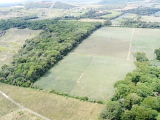 Finca de 17 Manzanas Planas en Venta en CAES Jocotillo - 3