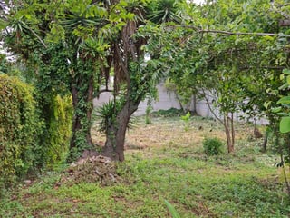 Espectacular Residencia Colonial en Venta - Antigua Guatemala - Image 6