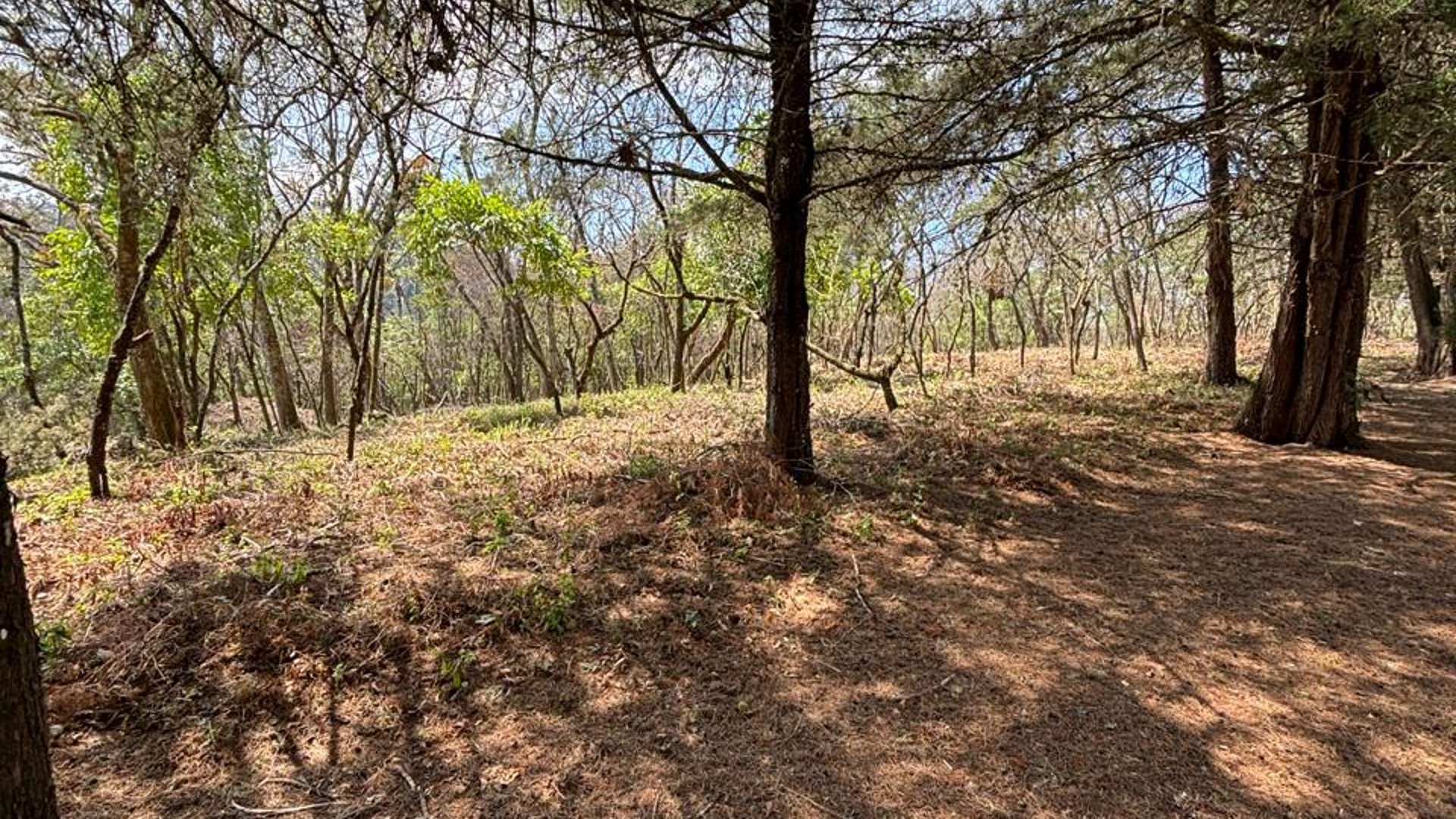 Venta de Terrenos en Condominio Casa & Campo - Miniatura 7