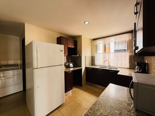 ALQUILER DE AMPLIO Y CÉNTRICO APARTAMENTO - ARIA, ZONA 10 - 5