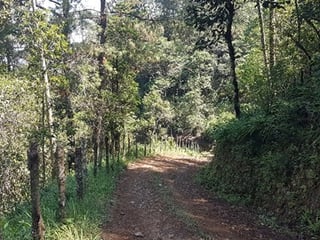 Terreno en Venta en Santa Cruz Verapaz, Alta Verapaz - 4