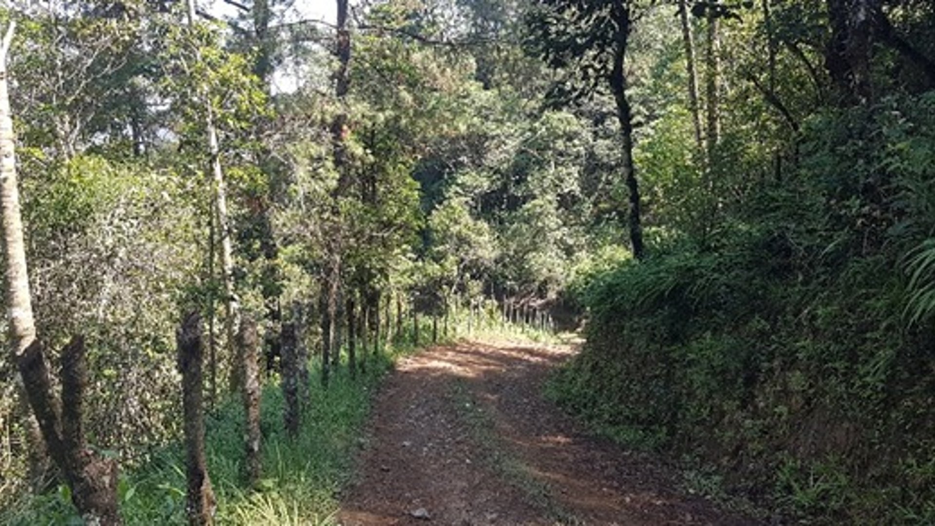 Terreno en Venta en Santa Cruz Verapaz, Alta Verapaz - Miniatura 4