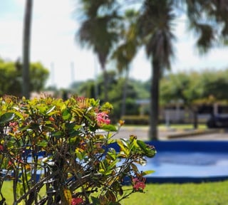 Terreno en Venta Escuintla, Lagunas de Torre Molinos