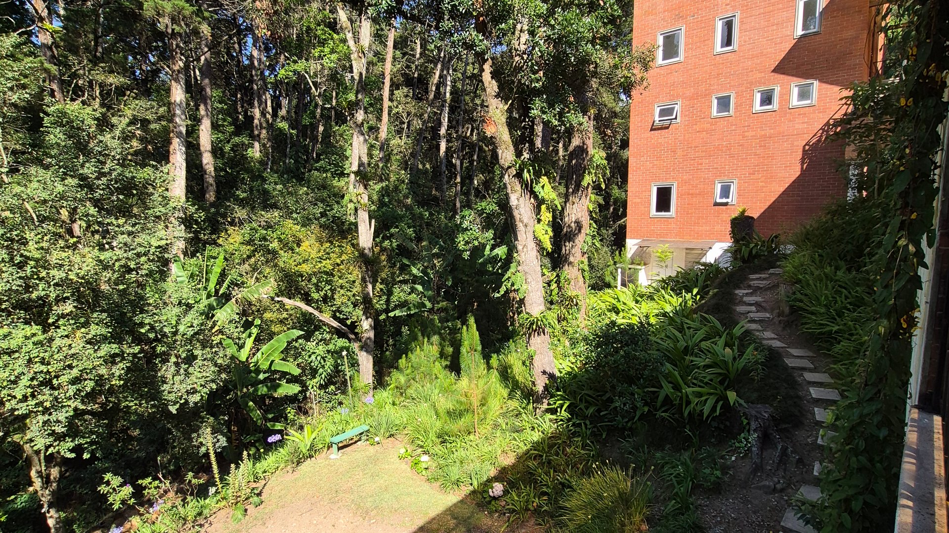 APARTAMENTO EN VENTA, RECIEN REMODELADO EN SAN JORGE MUXBAL - Miniatura 15