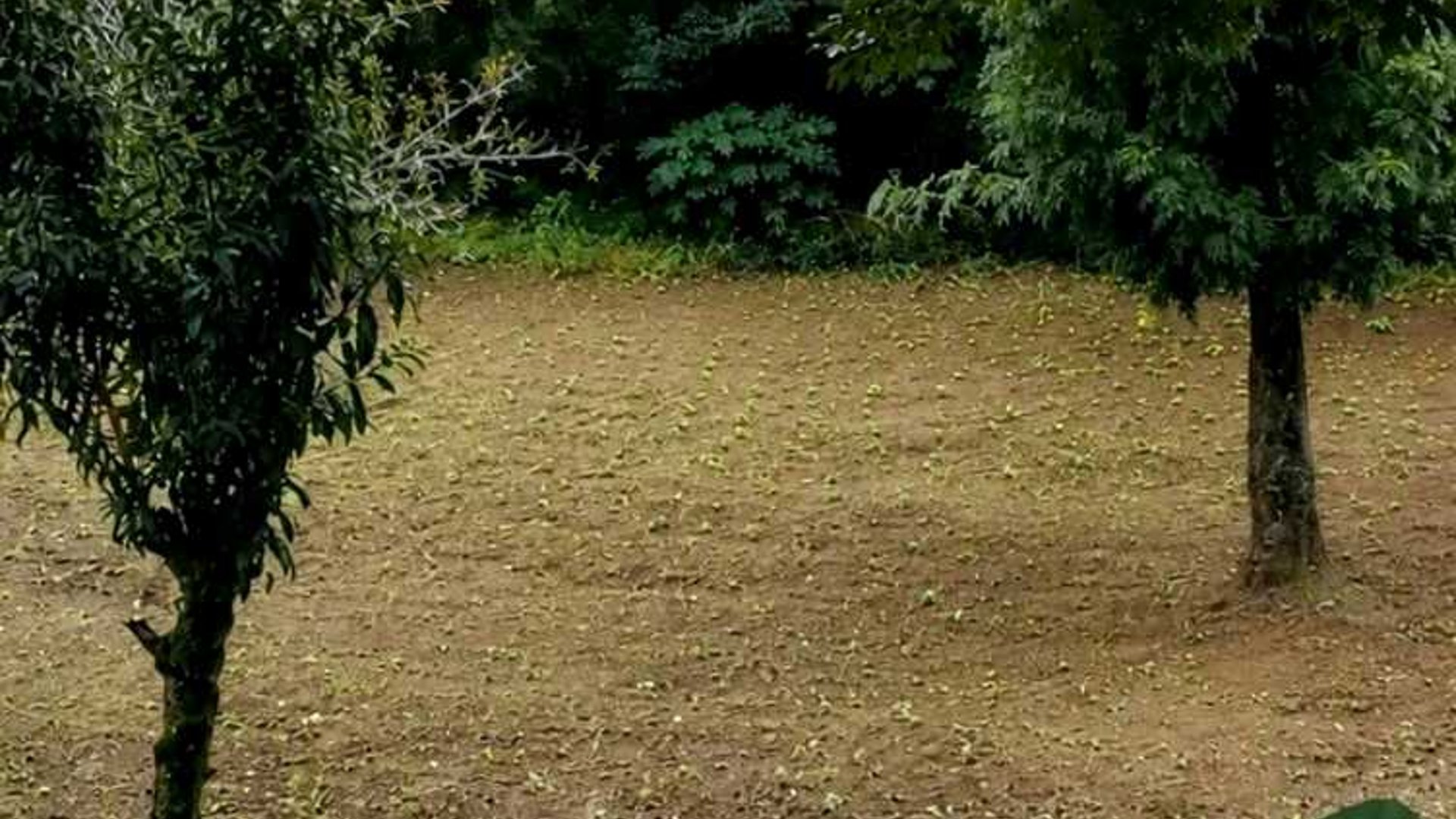 TERRENO EN VENTA ???? Santa Lucía Milpas Altas, Sacatepéquez - Miniatura 5