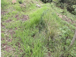 TERRENO EN VENTA EN ANTIGUA GUATEMALA - 2