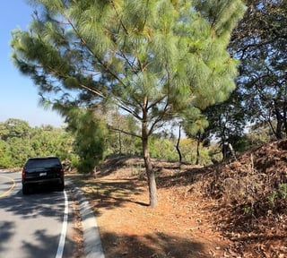 Terreno en venta en el Pulte , Golf