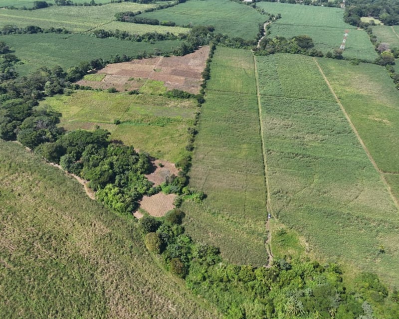 Finca en venta de 115,711.70 vrs. en Masagua, Escuintla