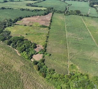 Finca en venta de 115,711.70 vrs. en Masagua, Escuintla