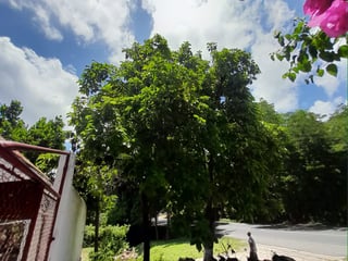 CASA EN VENTA EN ALDEA ENCINITOS, GUALAN ZACAPA - 4