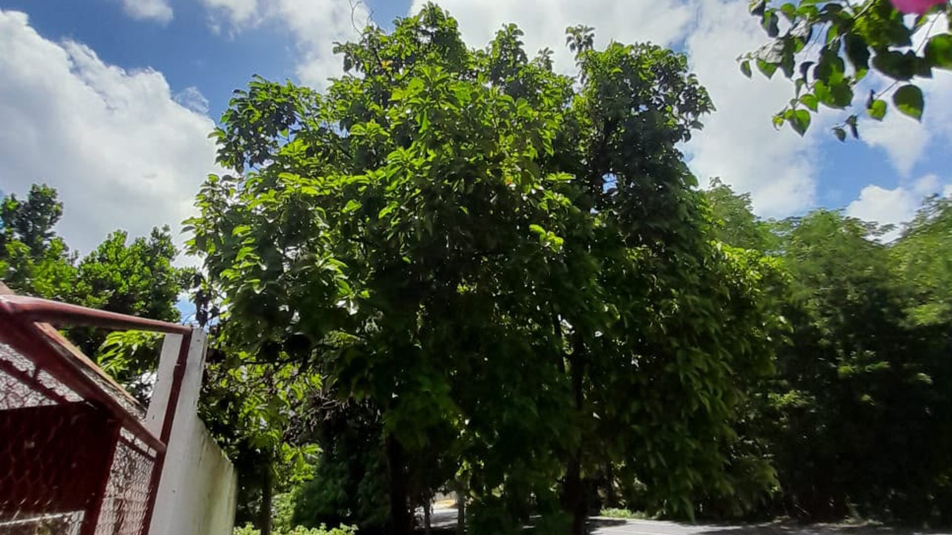 CASA EN VENTA EN ALDEA ENCINITOS, GUALAN ZACAPA - Miniatura 4