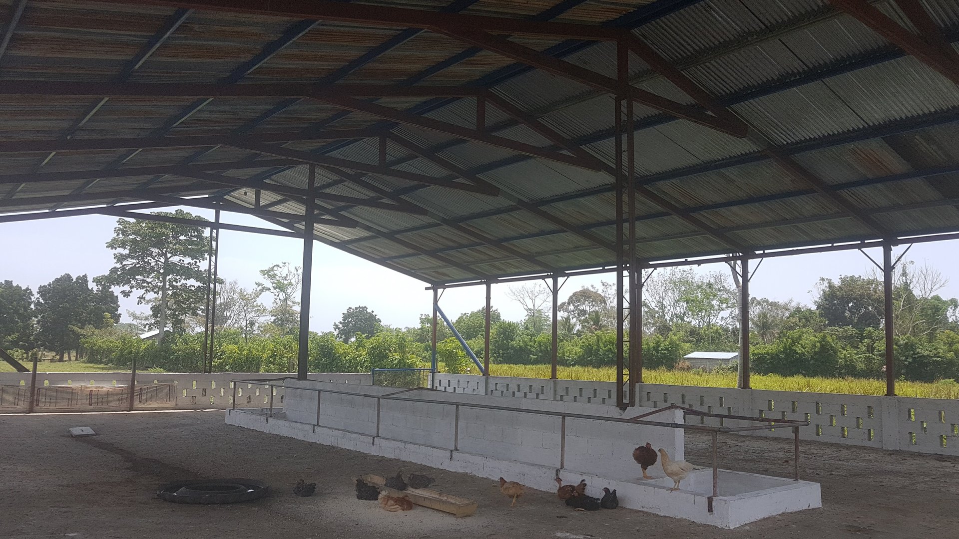 FINCA EN VENTA EN ALDEA EL SAUCE  - Miniatura 36