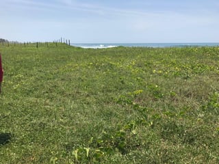 VENDO TERRENO VACACIONAL EN PLAYA RAMA BLANCA SIPACATE - Image 6