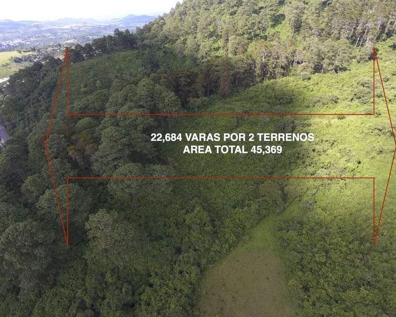 TERRENO 4.5 MANZANAS PARA DESARROLAR EN SAN ISIDRO, ZONA 16