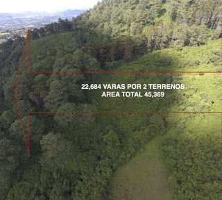TERRENO 4.5 MANZANAS PARA DESARROLAR EN SAN ISIDRO, ZONA 16