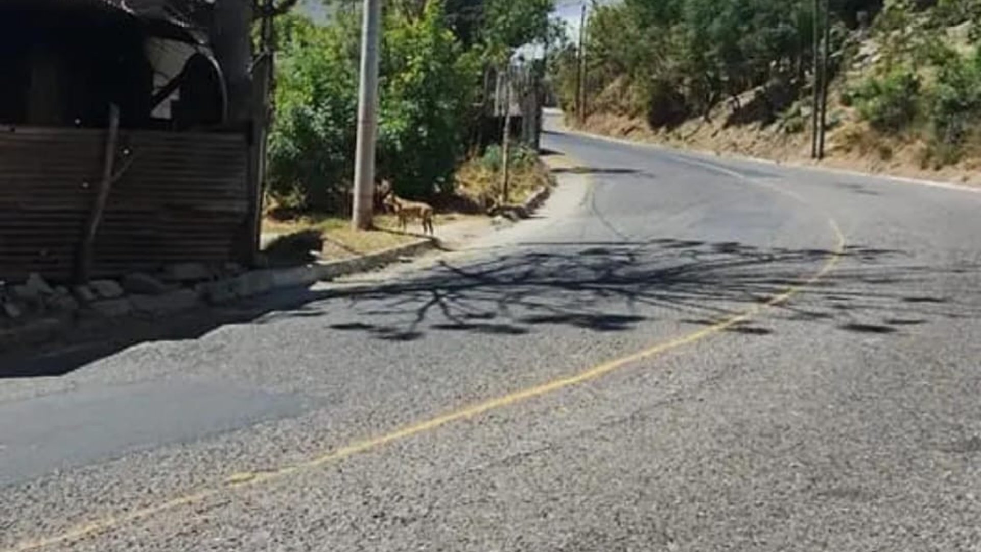 Terreno en venta en Sanarate. - Miniatura 2