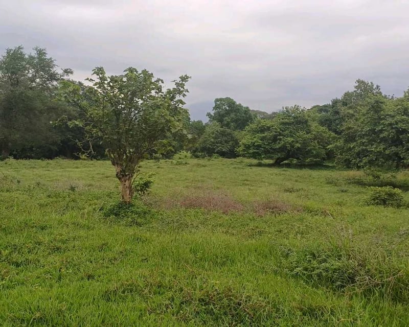 Vendo finca 10 manzanas cerca Calle antigua al Hospital en Escuintla