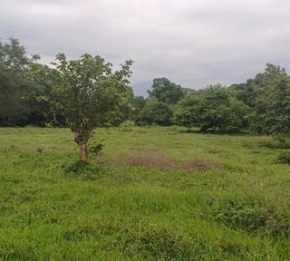 Vendo finca 10 manzanas cerca Calle antigua al Hospital en Escuintla
