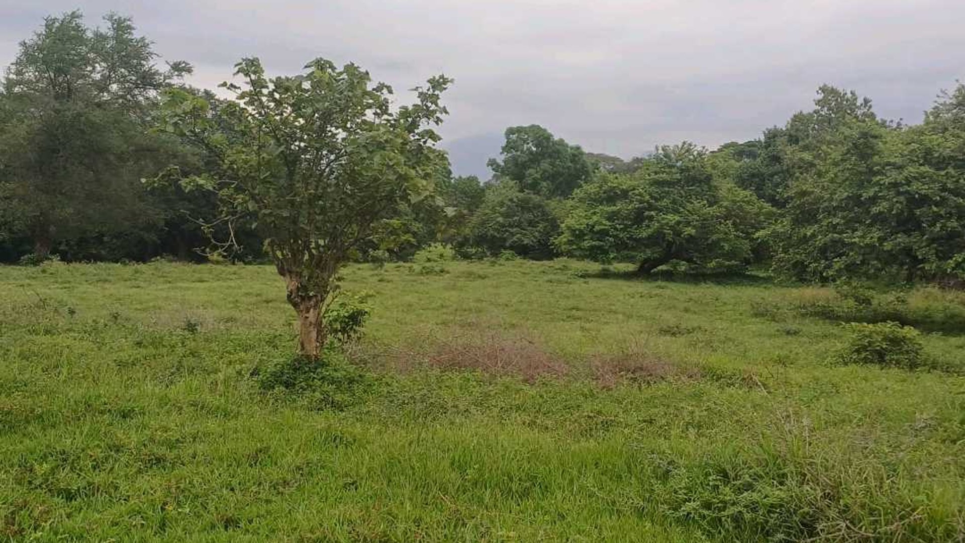 Vendo finca 10 manzanas cerca Calle antigua al Hospital en Escuintla