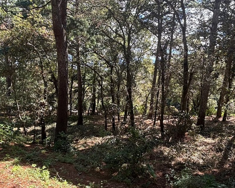Venta de terreno en San Lucas Aldea El Choacorral