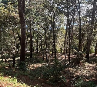 Venta de terreno en San Lucas Aldea El Choacorral