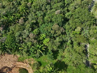 TERRENO EN VENTA EN IZABAL, CAMINO DE LA RUIDOSA  A RIO DULCE - 4