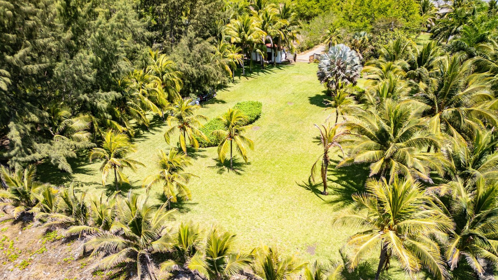 MONTERRICO  TERRENO FRENTE AL MAR EN VENTA - Miniatura 3