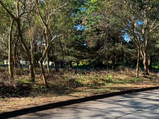 TERRENO EN VENTA EN CASA Y CAMPO, KM 23.5 CAES - 4
