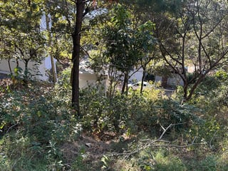 TERRENO EN RESIDENCIALES BOSQUES DE VISTALAGO SANTA CATARINA PINULA  - 4