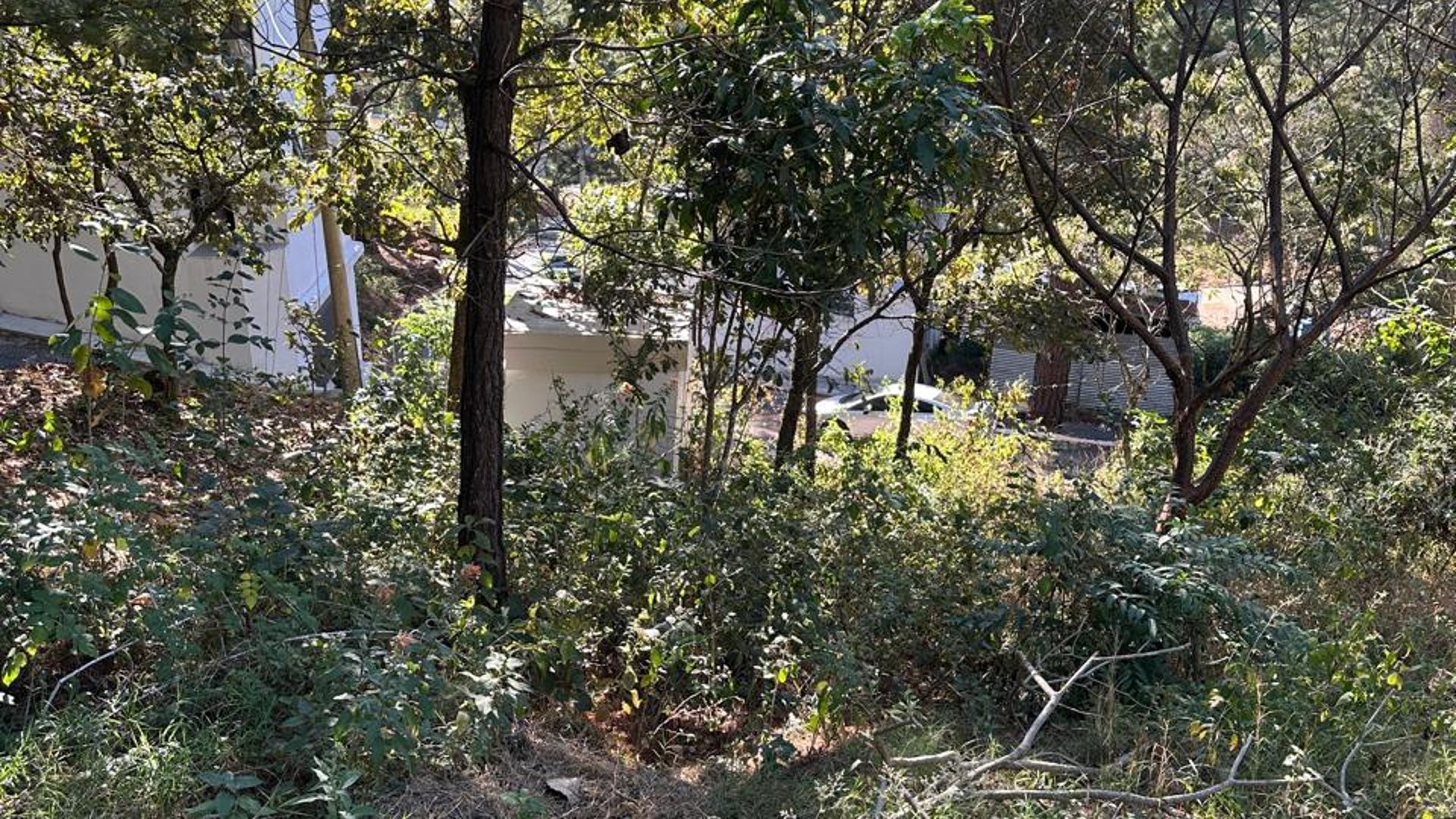TERRENO EN RESIDENCIALES BOSQUES DE VISTALAGO SANTA CATARINA PINULA  - Miniatura 4