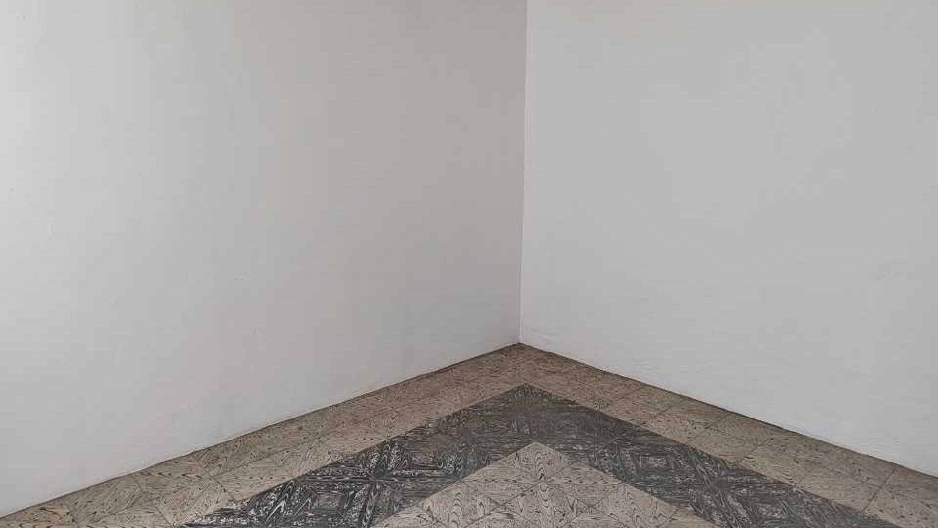 Alquilo casa para bbodega - Miniatura 3