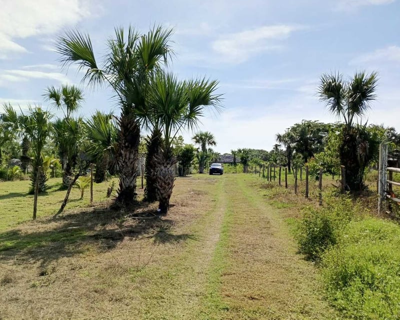 GANGA TERRENO EN VENTA – ALDEA EL CEBOLLITO, HAWÁI CHIQUIMULA