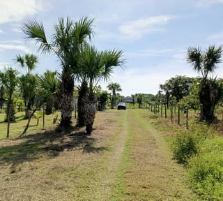GANGA TERRENO EN VENTA – ALDEA EL CEBOLLITO, HAWÁI CHIQUIMULA