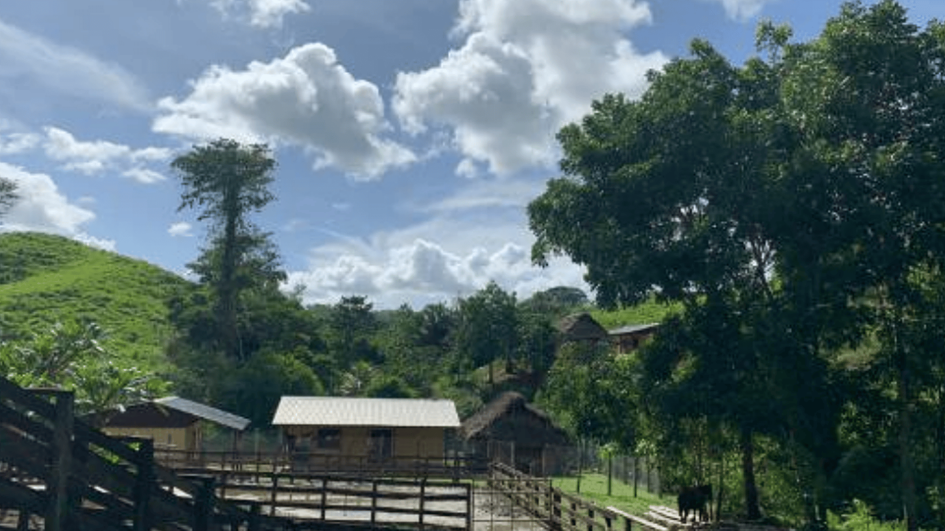 Finca en VENTA en Municipio Nuevo Chahal, Alta Verapaz - Miniatura 10