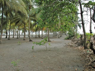 Land for Sale in Tulate, Guatemala - 7185 m² - $199,000 - Image 21