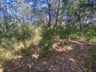 Terreno en Venta 1 manzana en El Encinal, Zona 7 ref-6135 - 5