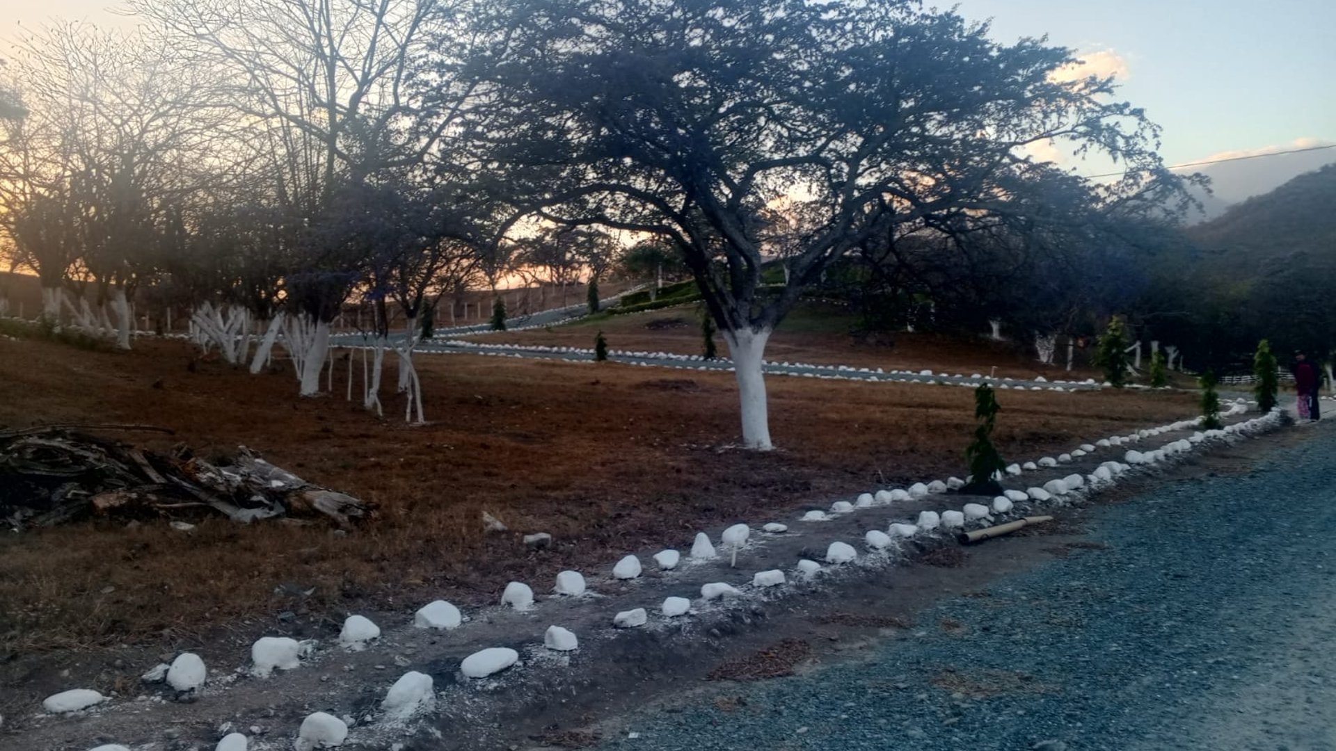 Terreno en Venta / Prados de Usumatlán, Zacapa - Miniatura 3