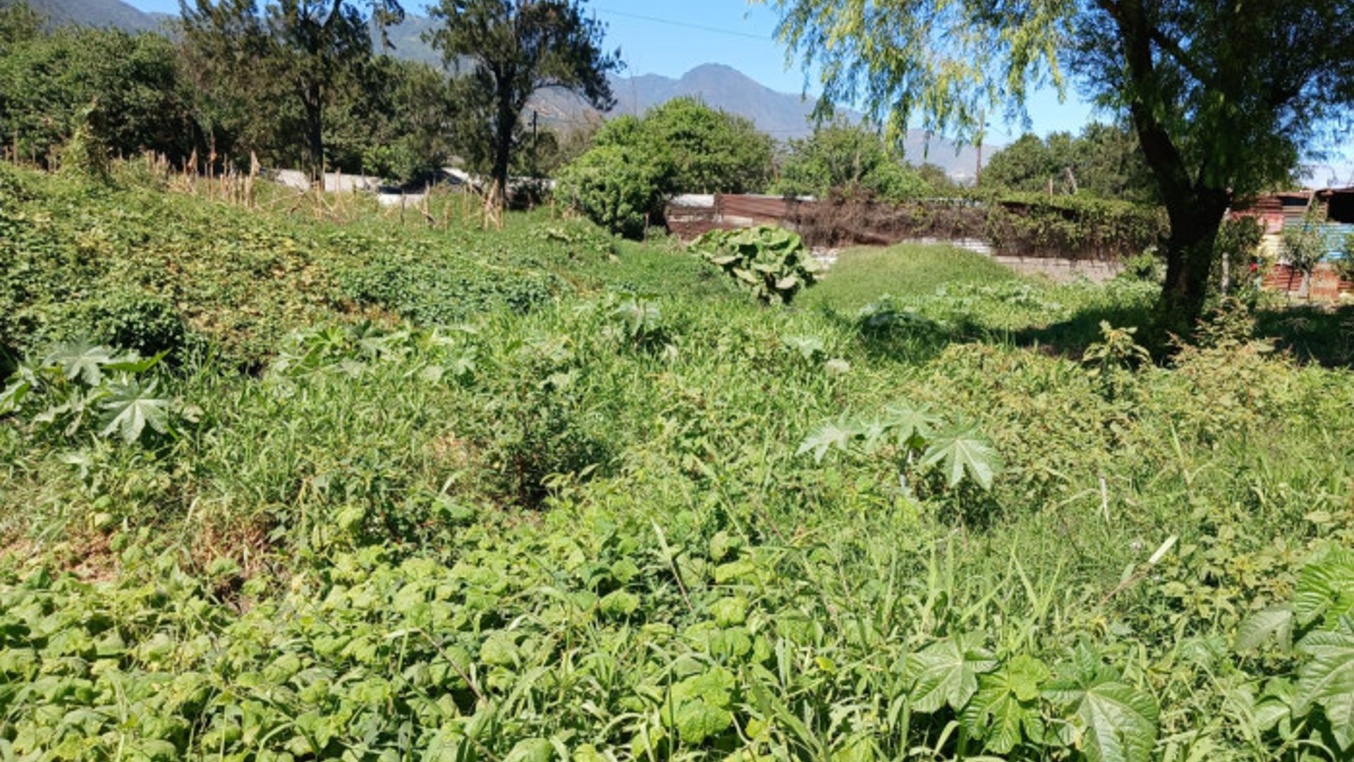 Terreno en Venta en Amatitlán - Miniatura 7