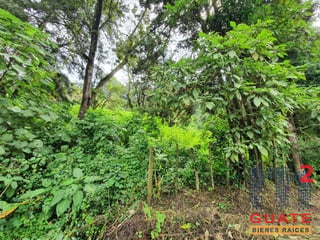 Terreno en Venta, Carretera a El Salvador (V9932) - 4