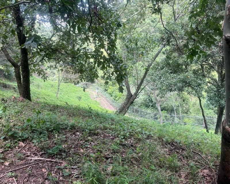 Terreno en venta en Acacias de Cayalá, zona 16