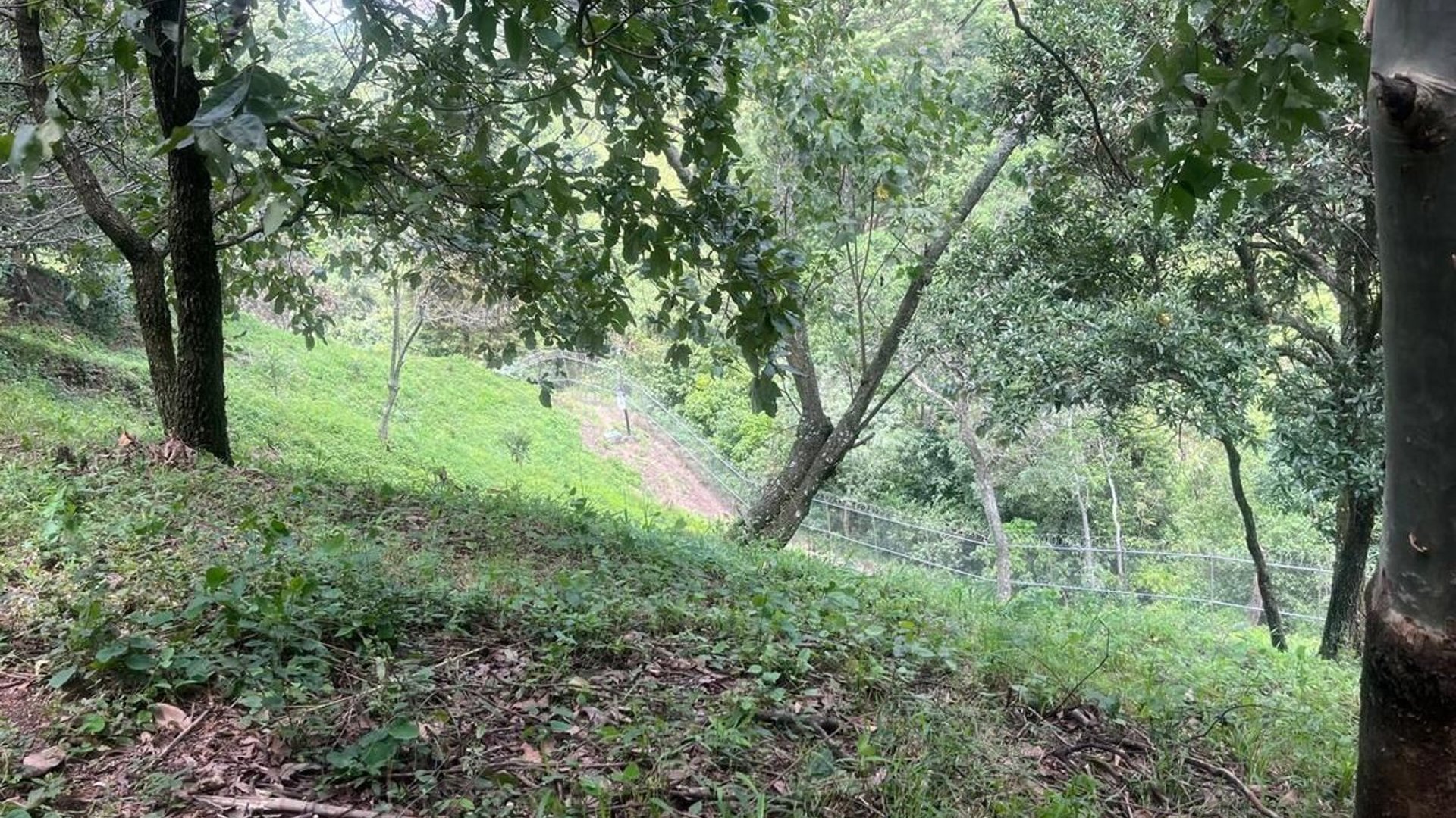 Terreno en venta en Acacias de Cayalá, zona 16