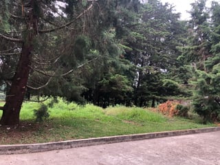 Terrenos en venta en Casa y Campo km 23.5 CES - 4