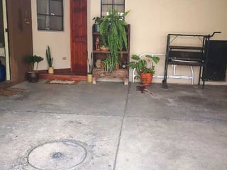 Los Pinabetes San José Pinula Alquilo/Vendo Casa - 2