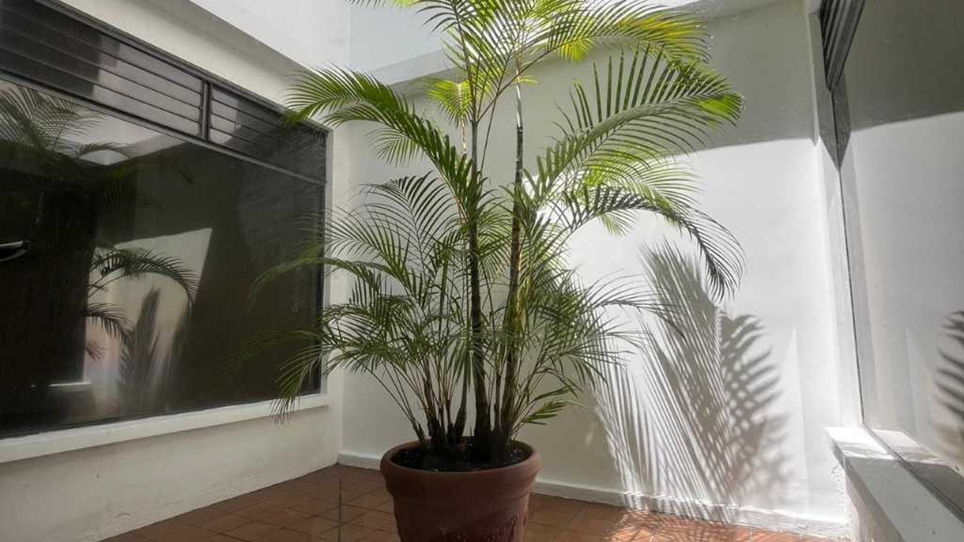 CASA EN RENTA – CONDOMINIO SAN SEBASTIÁN, AVENIDA HINCAPIÉ, ZONA 13 - Miniatura 5